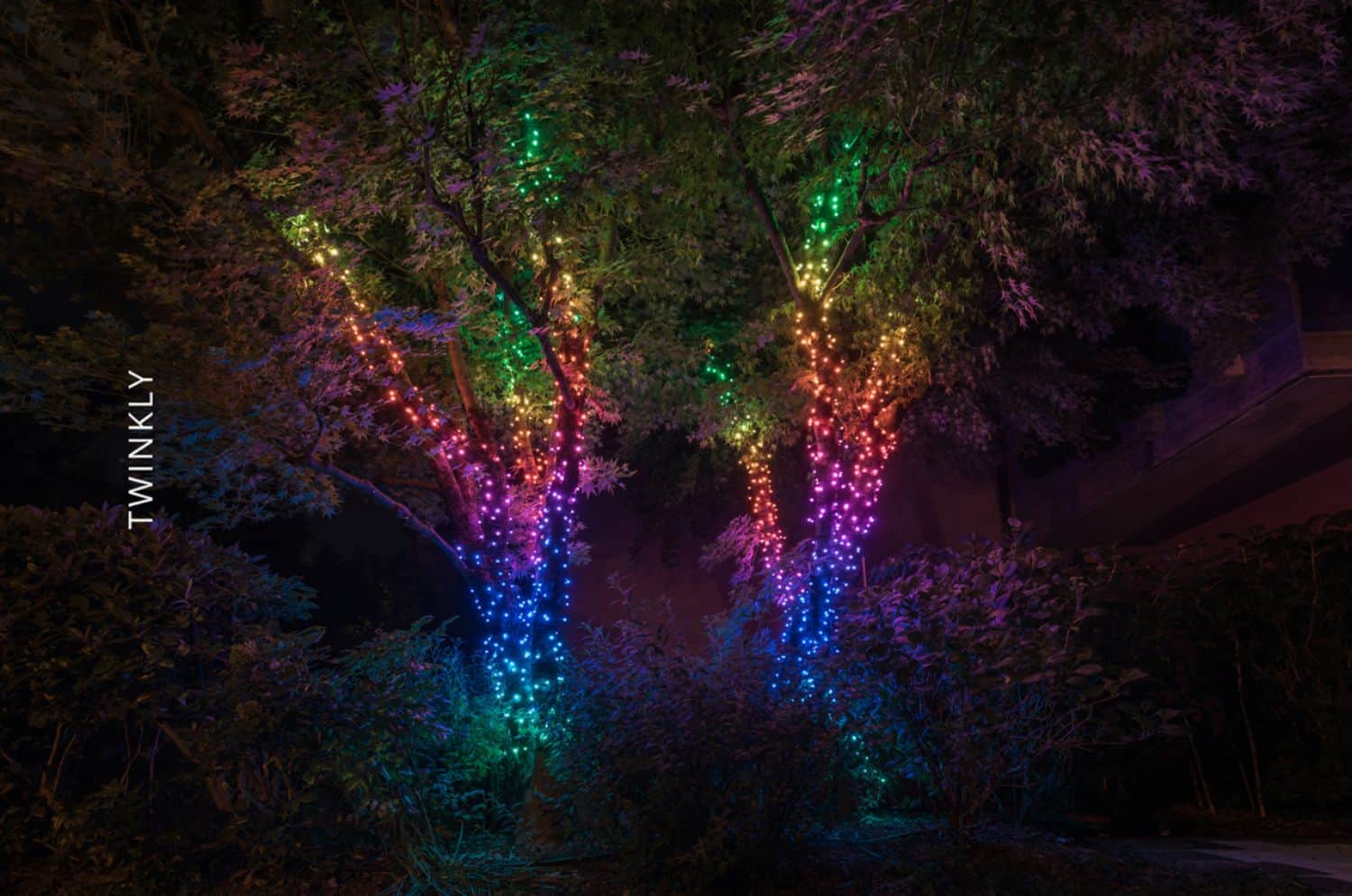 Twinkly - Smart Light String 250 LED RGB Generation II - Multi