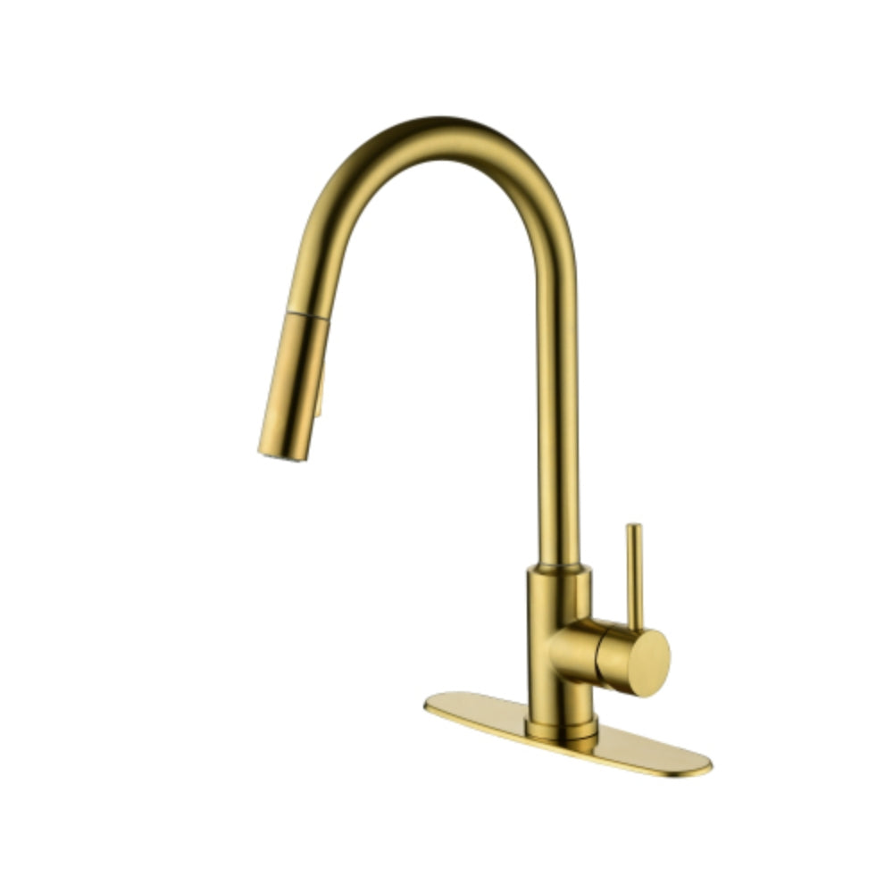 Hivvago Convenient Kitchen Faucet With Pull-Down Sprayer - Gold