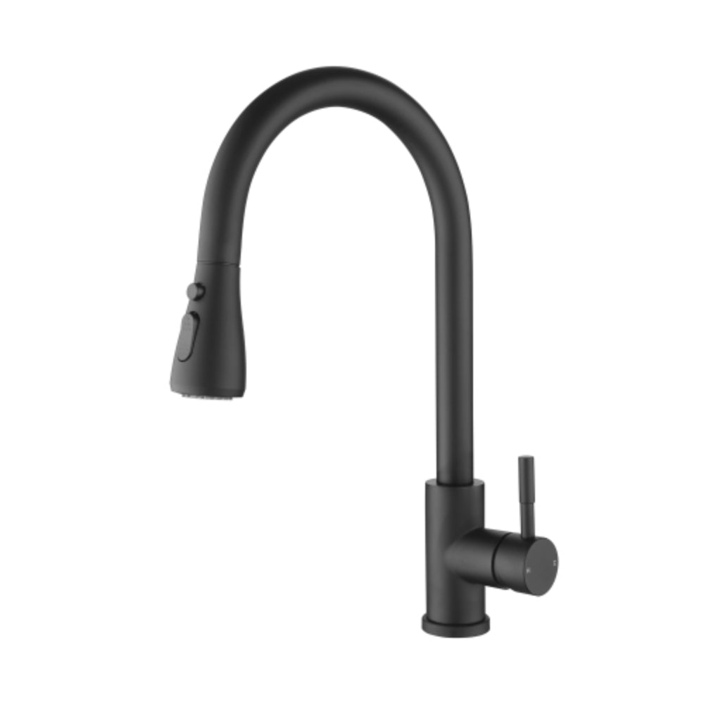 Hivvago Kitchen Faucet With Pull-Out Sprayer - Black