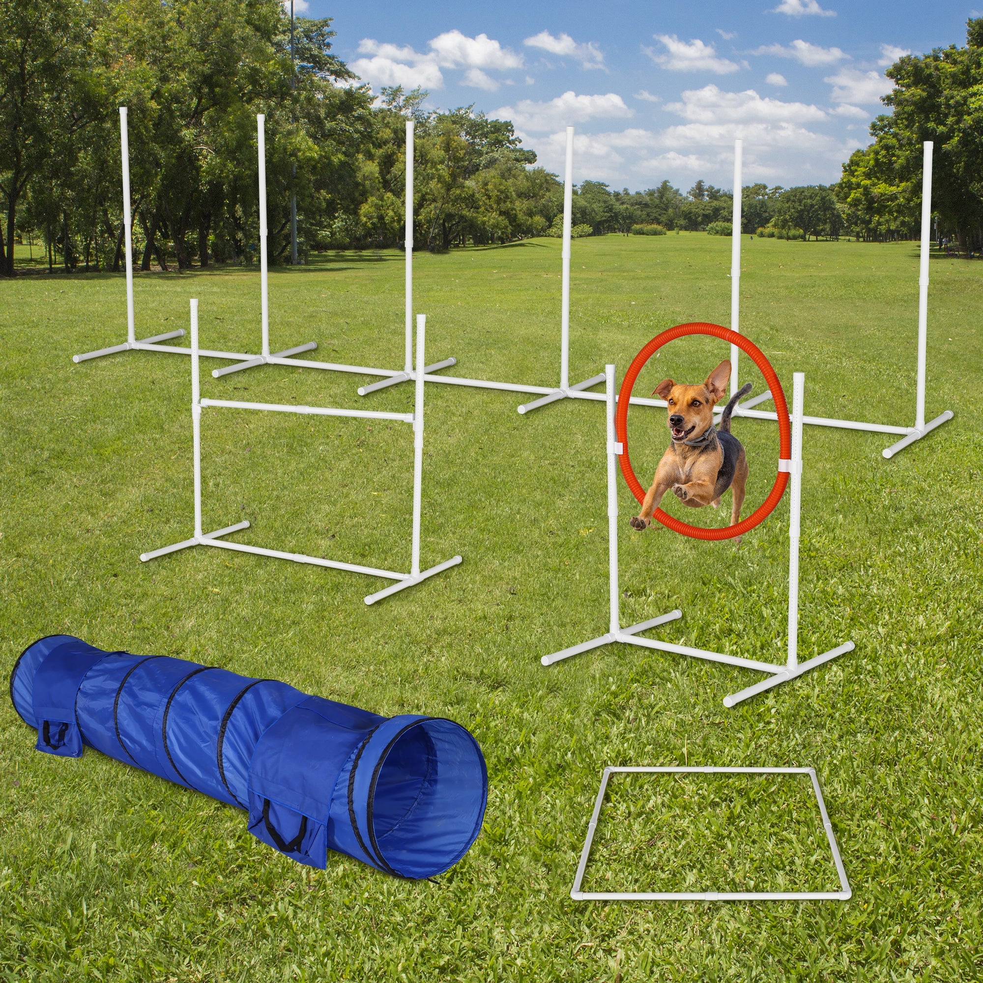 Streamdale 6Pack Dog Agility Training Equipment Set