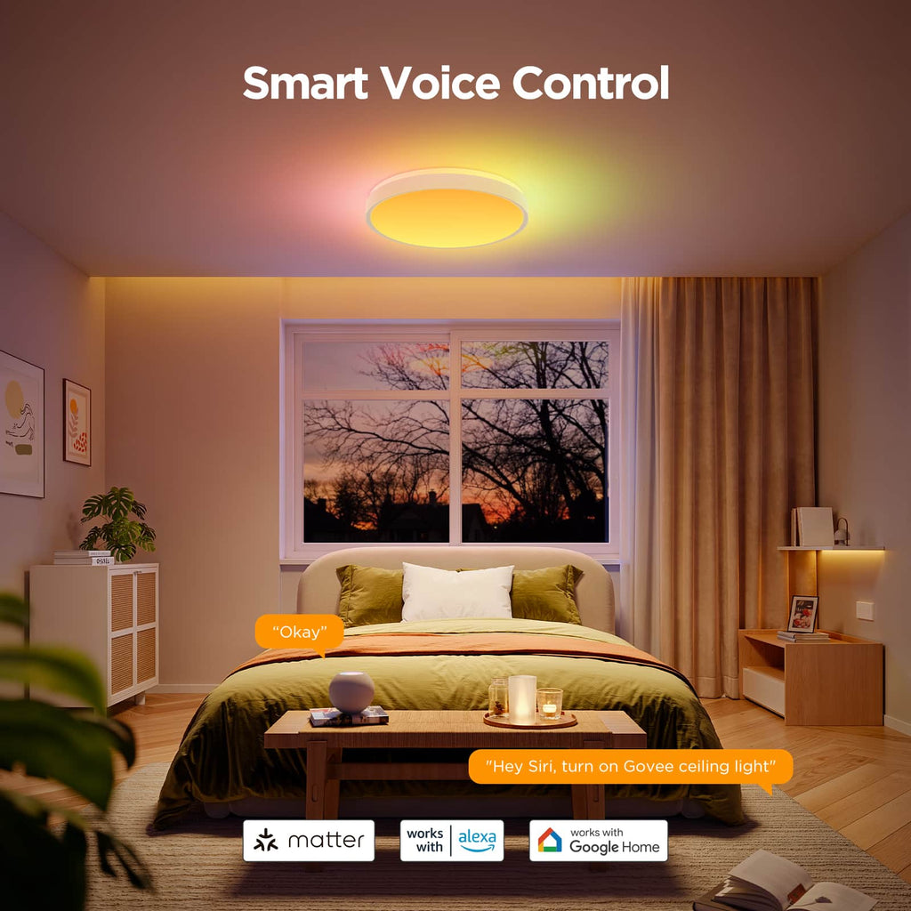 Govee - RGBICWW 15inch Ceiling Light Pro