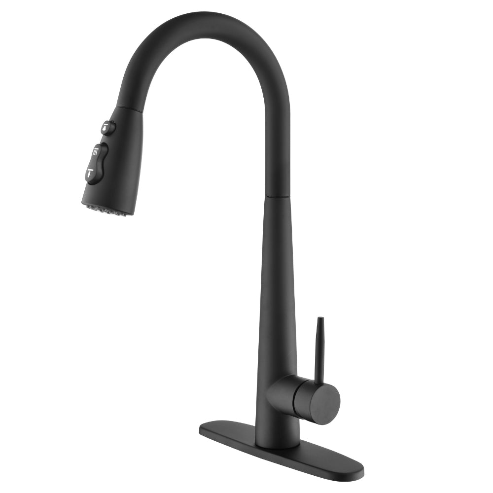 Hivvago Black Kitchen Faucet With Pull Down Sprayer