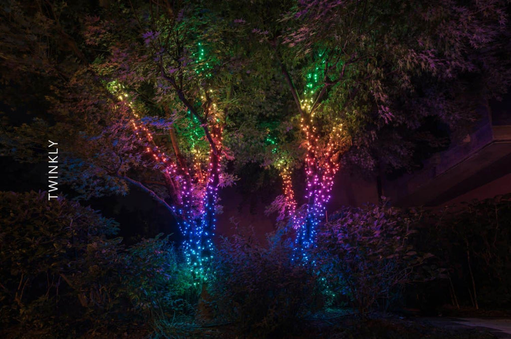Twinkly - Smart Light String 250 LED RGB Generation II - Multi