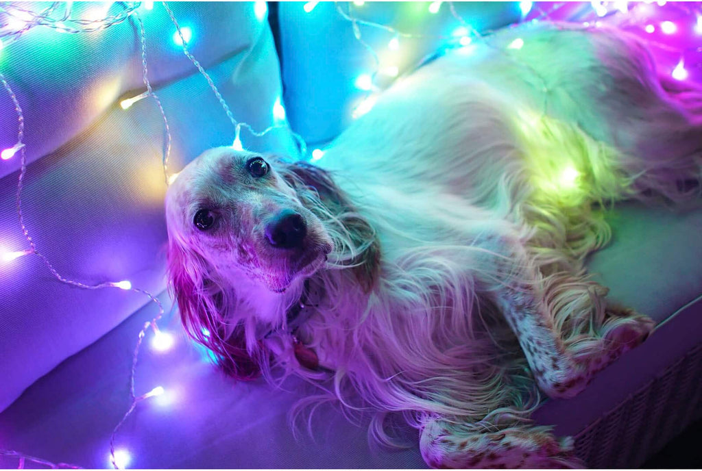 Twinkly - Smart Light Curtain 210 RGB + LED Generation II - Multi