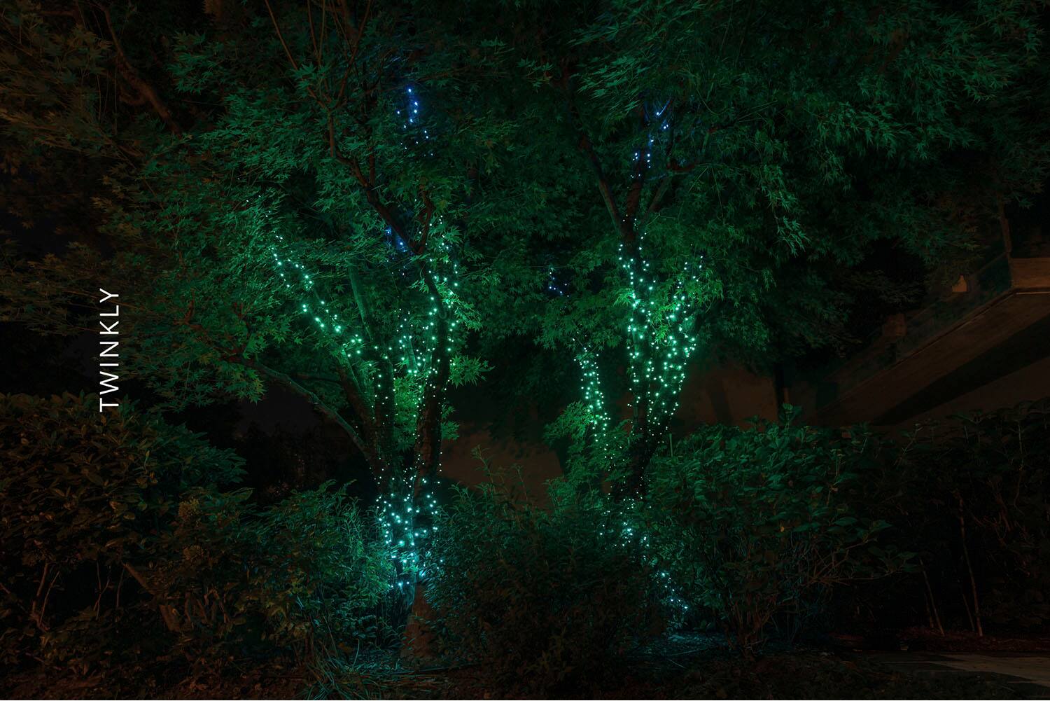 Twinkly - Smart Light String 100 LED RGB Generation II - Multi