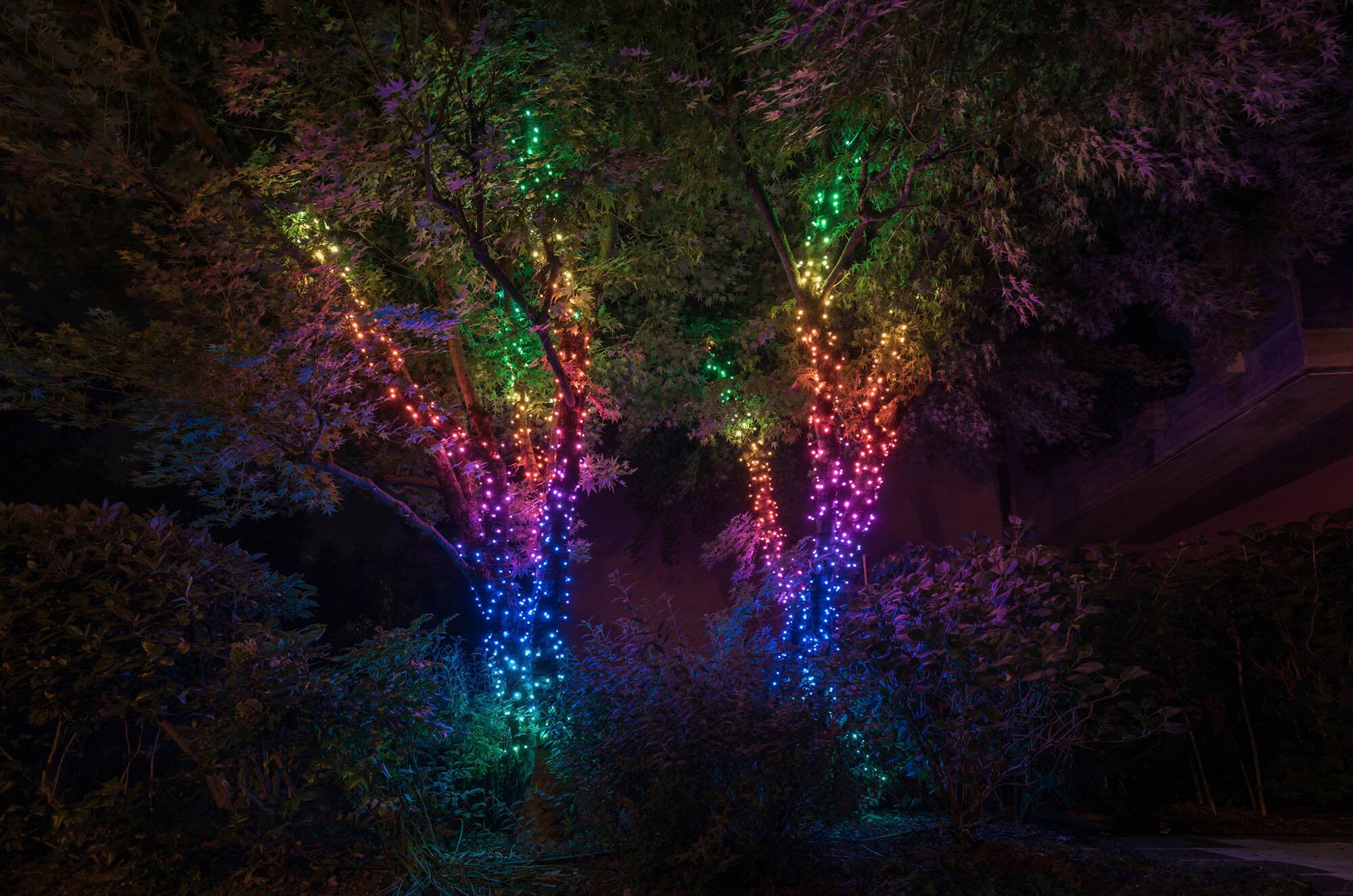 Twinkly - Smart Light String 100 LED RGB Generation II - Multi