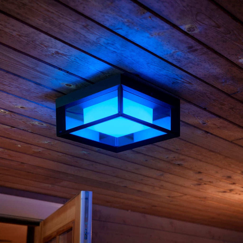 Philips - Hue Econic Outdoor Wall and Ceiling Light - White and Color Ambiance