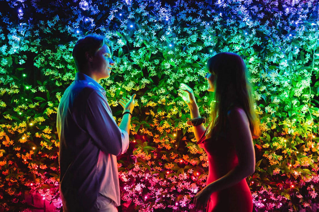 Twinkly - Smart Light 400 RGB LED Light String and 60 Dots (Gen 2) - Multi