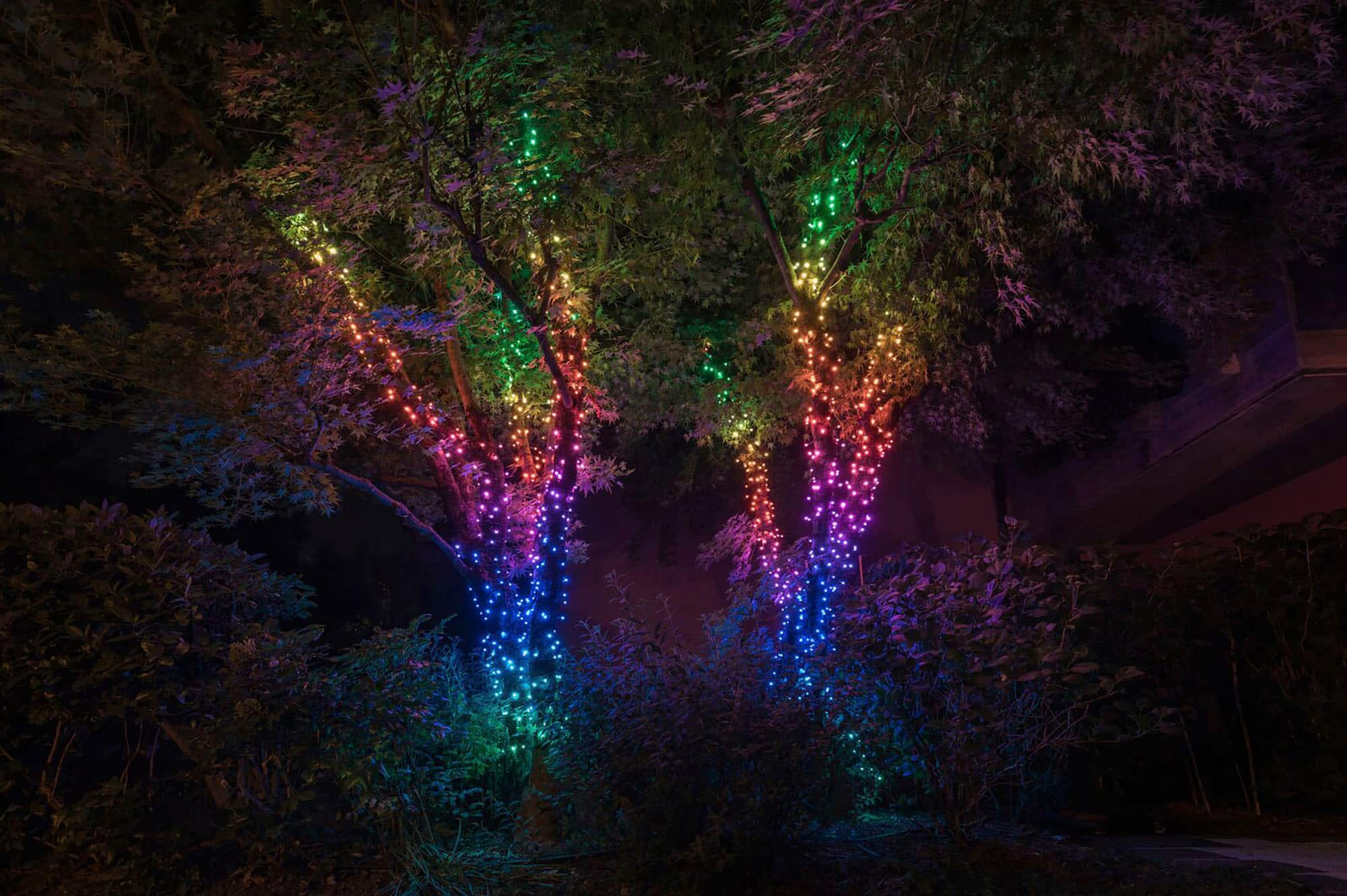 Twinkly - Smart Light 400 RGB LED Light String and 60 Dots (Gen 2) - Multi
