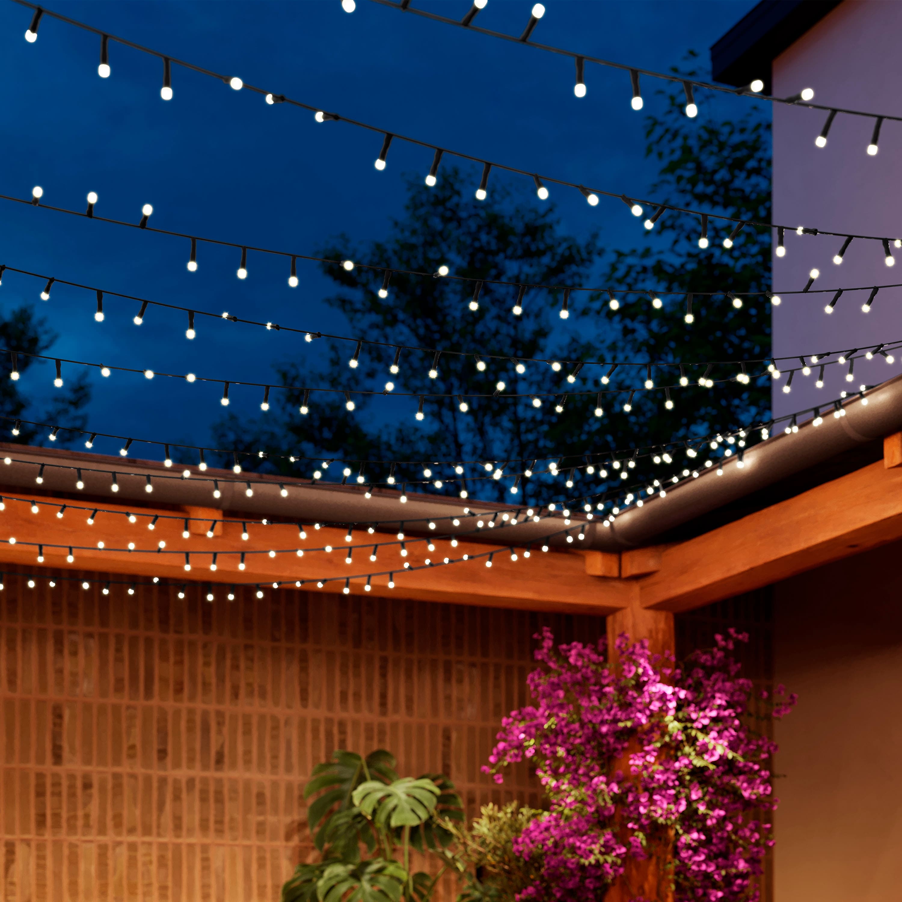 Philips - Hue Festavia 65-Foot 250-LED Smart String Lights - White and Color Ambiance