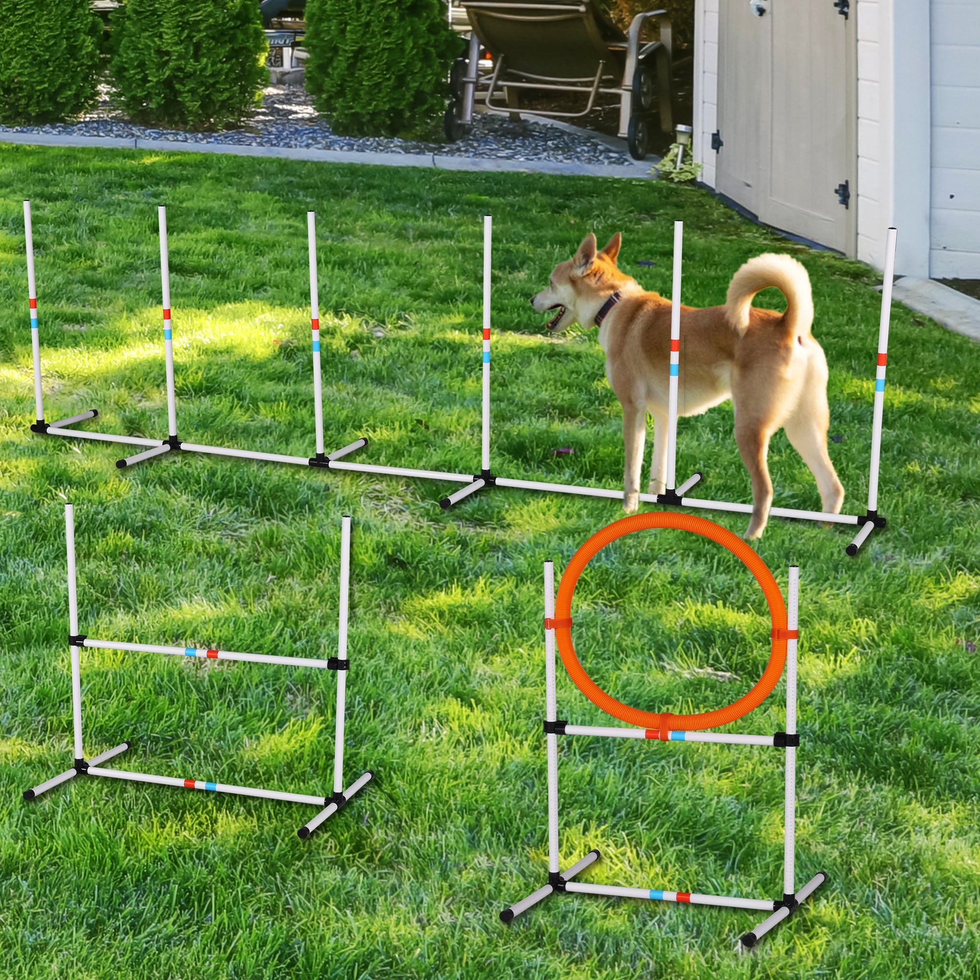 Streamdale 3PC Dog Agility Equipment Set