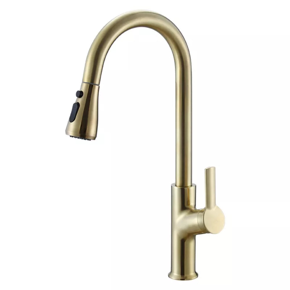 Hivvago Convenient Kitchen Faucet With Pull-Out Spray Head - Gold